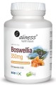 Alines-Boswellia.jpg