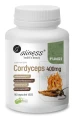 cordyceps.jpg
