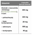 Składniki Kordyceps.png