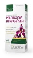 Pelargonia afrykańska 450mg, 60 kapsułek, Medica Herbs