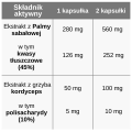 Składniki (8).png